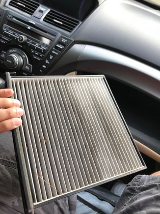 Here’s a pic of me literally pulling the filter out of my 2013 Acura TL. 