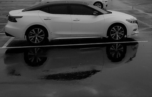 Roof panels, windows, and tail lights blacked out so far...