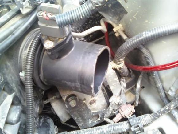 This is what the MAF tube should look like after tube it is cut.