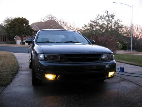 Yellar Fogs