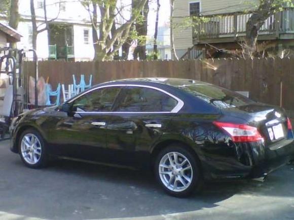 BLACK AFTER TINTS (Family members MAX)
