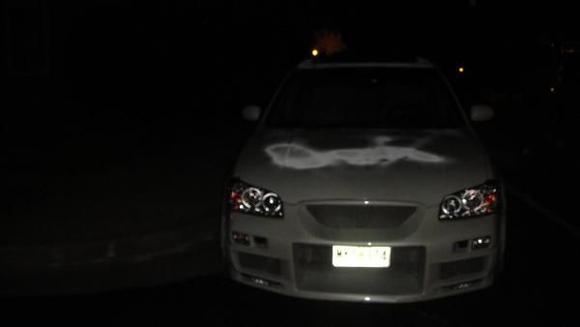 2000 maxima 028