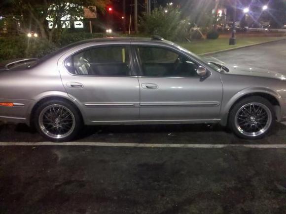 Grey Ghost