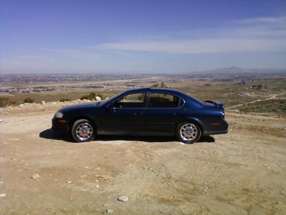 MY MAXI