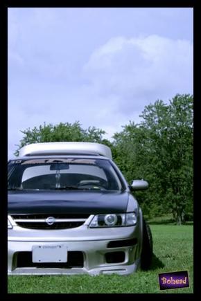slammed in a park. Watch out squirrels!