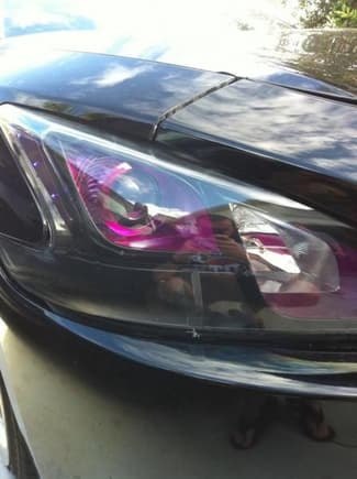 Purple/Black headlights with purple LED's
