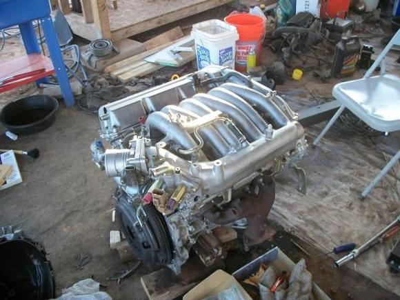 maxima 4 006