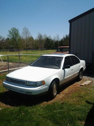 91Maxima