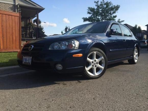 Just waxed! Looks clean