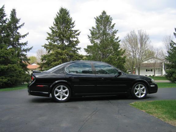 MY whip