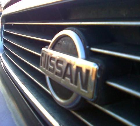 My maxima grill