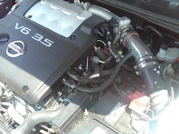 Injen Intake System, Grounded Engine, Modified Chips, And Some Other Suprises Due For Performance!!