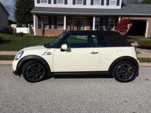 Wiz's Wife's mini