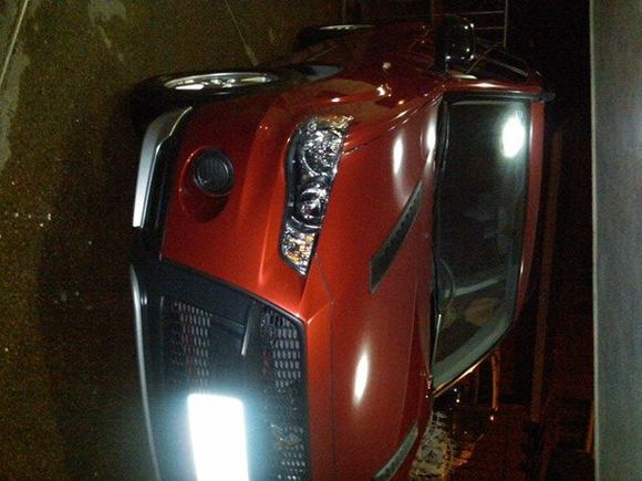 IMG00392 20110319 0003