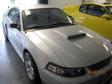 Picture 003