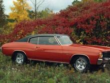 Taken at the side of road on the way to a car show in Oct 1988