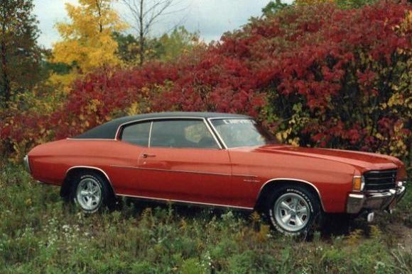 Taken at the side of road on the way to a car show in Oct 1988