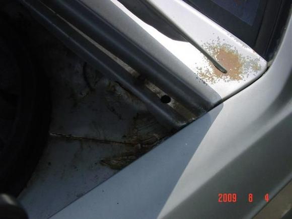 another bad spot but those 2 on the trunk area are the worst