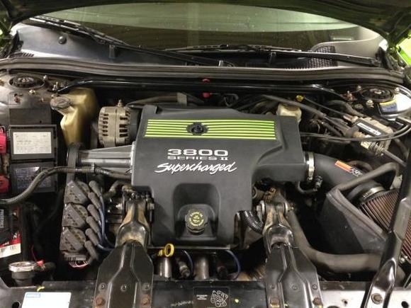 L67 3800 Supercharged Engine was put in Dec 2013, with Custom Painted Engine Cover. Will need to work on painting the other engine bay parts.