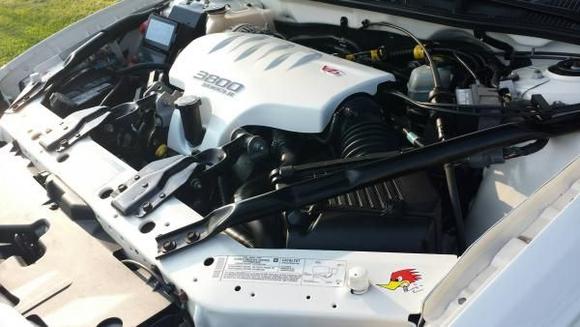 Engine Bay - Painted shroud