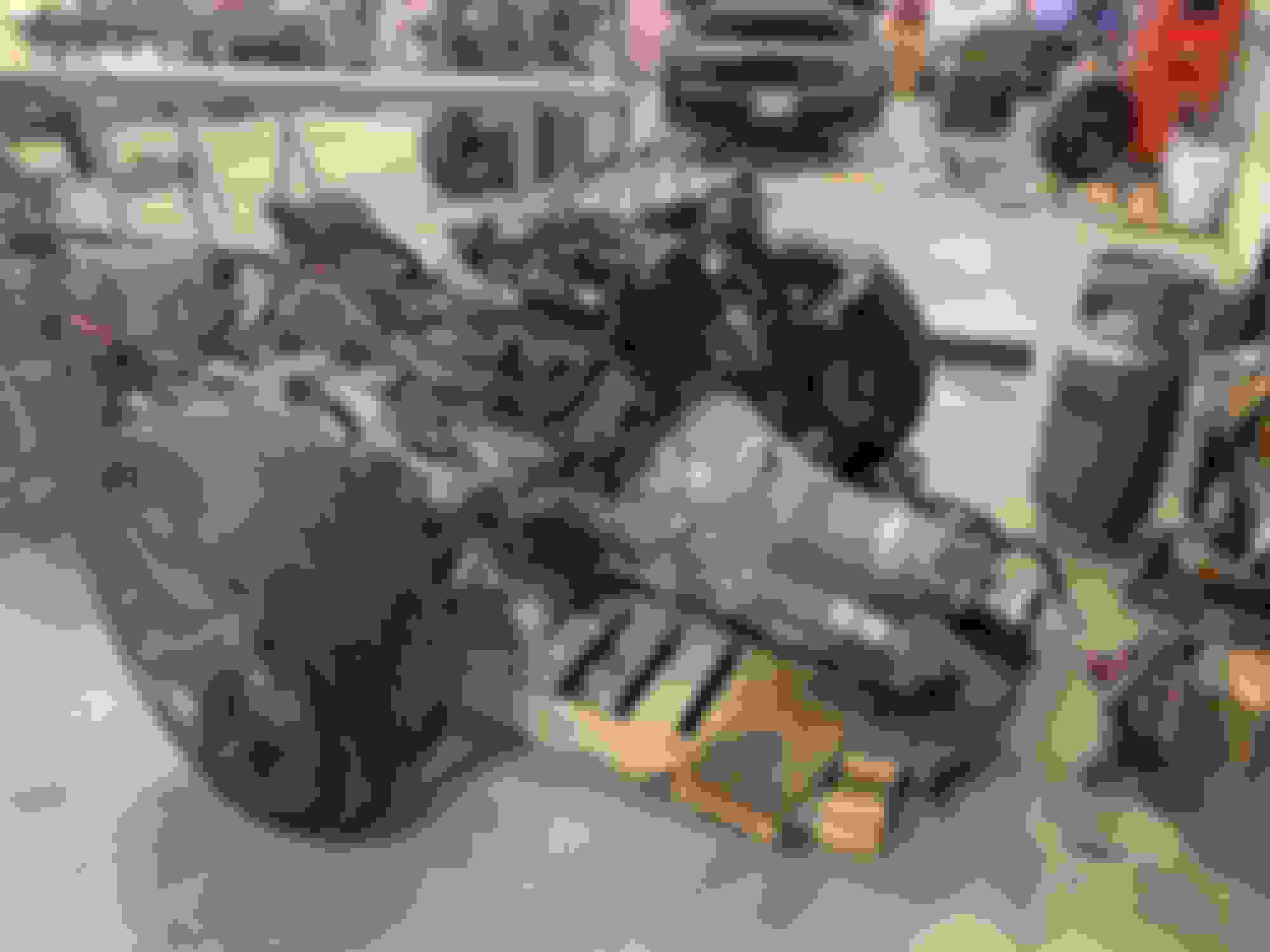 2017 5.7 Hemi 8spd. And Complete wiring harness with module. - Mopar Forums