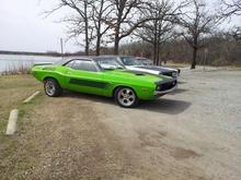 The whole collection