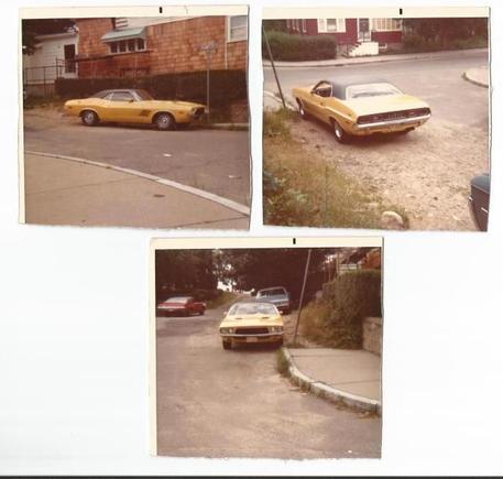 My 1972 Purchased new . 340/4spd