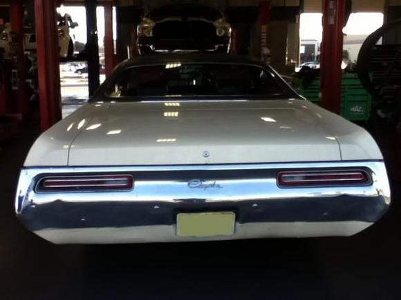 Getting new "shoes" shortly after bringing her home.