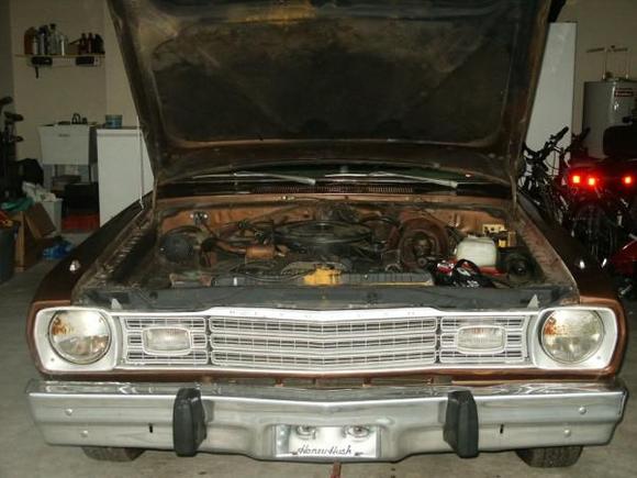 Most of the parts are there just all suffering from back yard suicide.