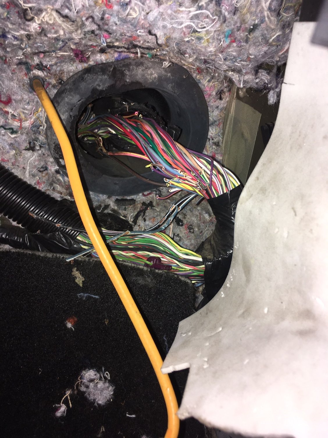 Not sure what to do - MustangForums.com