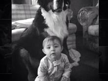 This is my Daughter's Bernese. Her name is Sadie too :-) 

That's my grand daughter Penny...