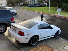 Getting distracted while bath time! 