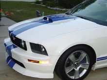 Ron'z 2005 V6 Stang For Sale