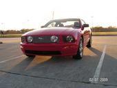 '06 Mustang 3