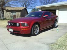 my stang