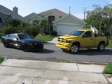 My stang and my cousins Rumble BEE