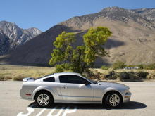 2005 Mustang GT
10/08/2005