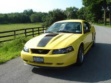 03 Mustang Mach1 (zinc yellow)  I bought it in late June 09 with just over 8,000 miles.