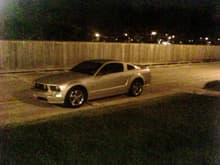 Mustang at Night
