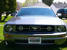Pony package grille, my personal favorite

Now I have GT grille w/ fogs : (