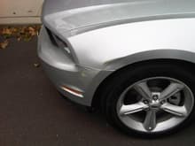 Stang Dent1 20091113 1010