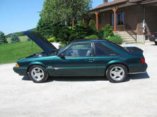 Mustang 5.0L 1991 Emerald Green