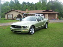 2006 Mustang Legend Lime