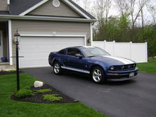 Mustang 2010 004