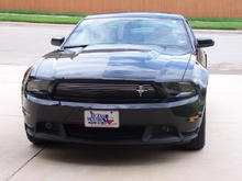 Mustang 017