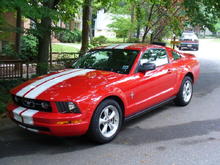 2007 Pony striped out