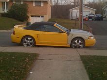 iphone pics 032
