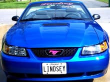 My Stang!