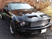 05 Mustang