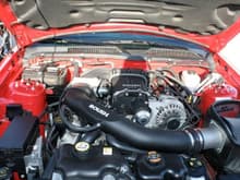 Engine Bay
Roush M90 Supercharge and CAI
Ford Racing Hot Rod Cams